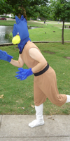 Falco